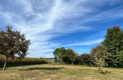 Terrain à Pibrac 31820 1000m2 230000 € - CROP-26-07-06-6