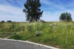 Terrain à Colomiers 31770 550m2 178000 € - CROP-26-07-22-57