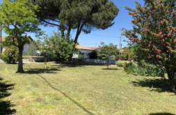 Terrain à Toulouse 31300 650m2 252000 € - CROP-26-07-22-56