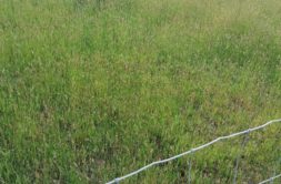 Terrain à Kergrist 56300 880m2 22500 € - GMA-26-10-27-3