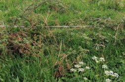 Terrain à Saint-Gerand-Croixanvec 56920 900m2 33500 € - GMA-26-08-04-82
