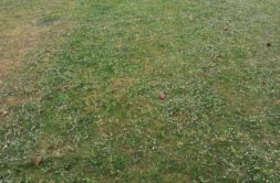 Terrain à Saint-Gonnery 56920 1074m2 37842 € - GMA-26-08-04-83