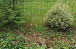 Terrain à Saint-Thuriau 56300 680m2 49450 € - GMA-26-08-04-84