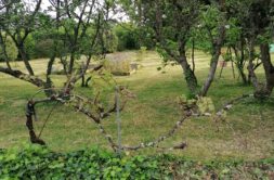 Terrain à Seglien 56160 779m2 20417 € - GMA-26-10-22-23