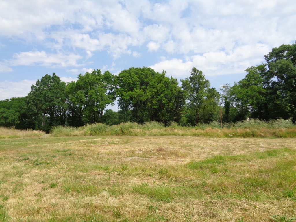 Terrain à Saint-Herblain 44800 610m2 210000 € - BF-26-06-01-4