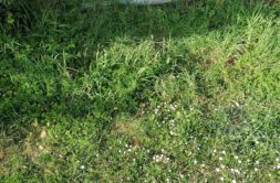 Terrain à Riantec 56670 337m2 101100 € - GMA-26-08-04-80