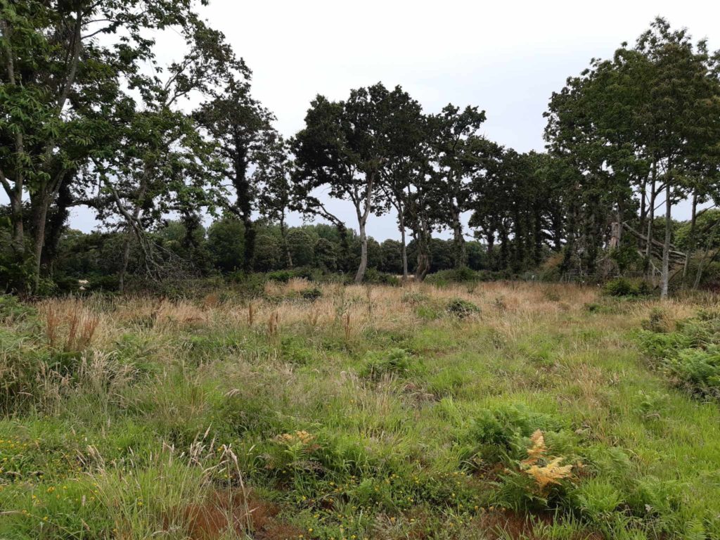 Terrain à Pont-l&rsquo;Abbe 29120 460m2 83900 € - ISE-26-10-26-1