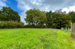 Terrain à Le-Bignon 44140 499m2 113000 € - THBR-26-05-26-10