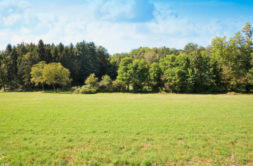 Terrain à Basse-Goulaine 44115 850m2 245000 € - THBR-26-05-11-2