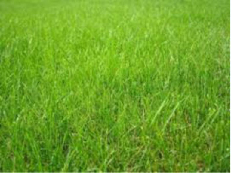 Terrain à Chateaugiron 35410 325m2 83000 € - HHE-26-09-08-13