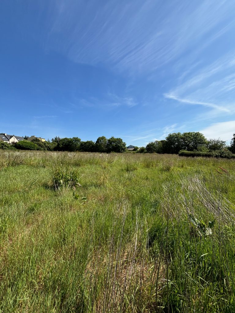 Terrain à Landerneau 29800 355m2 90000 € - JPD-26-10-26-1