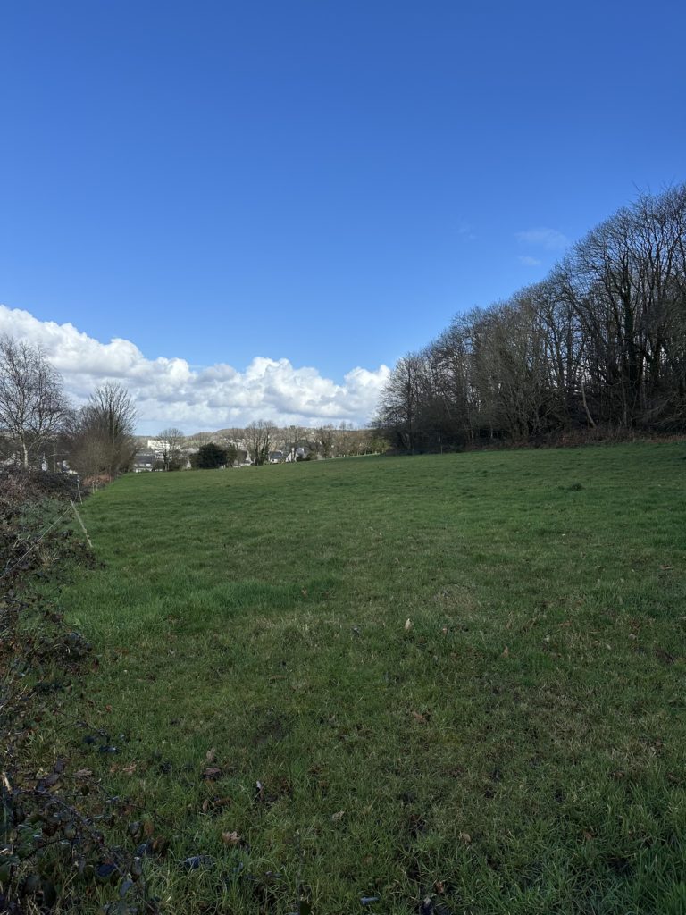Terrain à Landerneau 29800 411m2 99000 € - FGUE-26-07-17-1