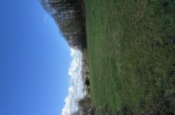 Terrain à Landerneau 29800 430m2 118000 € - FGUE-26-07-17-2