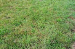Terrain à Treveneuc 22410 513m2 92340 € - JBES-26-09-29-24