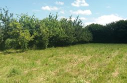 Terrain à Pleneuf-Val-Andre 22370 305m2 130000 € - ASCO-26-06-03-7