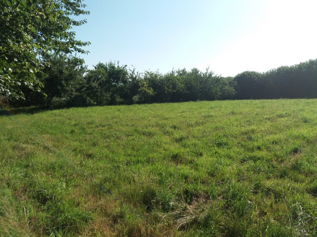 Terrain à Pleneuf-Val-Andre 22370 445m2 180000 € - ASCO-26-06-03-6