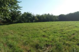 Terrain à Pleneuf-Val-Andre 22370 445m2 180000 € - ASCO-26-06-03-6