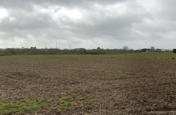 Terrain à Cleder 29233 443m2 44000 € - SME-26-06-26-10