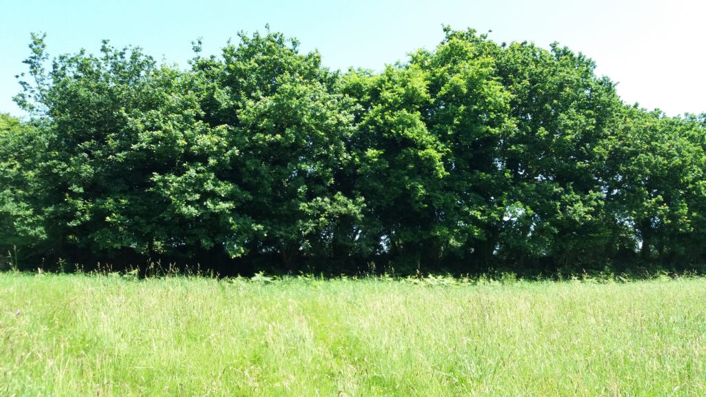 Terrain à Frehel 22240 934m2 327000 € - ASCO-26-06-03-4