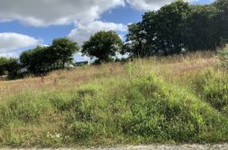 Terrain à Plouzevede 29440 400.00m2 23500 € - RGOB-26-10-29-29