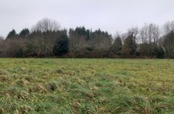 Terrain à Ploneour-Lanvern 29720 412m2 49000 € - MCHAB-26-10-22-3