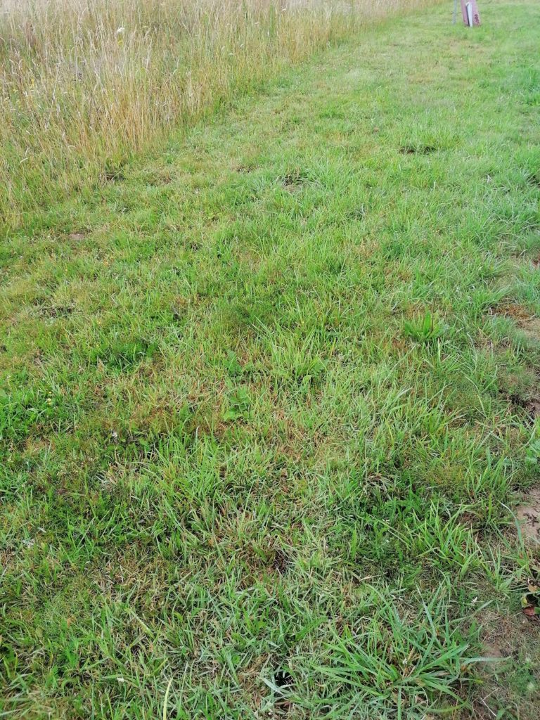 Terrain à Plerin 22190 333m2 109890 € - JBES-26-09-29-22