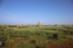 Terrain à Guilvinec 29730 920m2 86000 € - DPAS-26-05-13-18