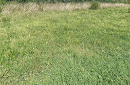 Terrain à Douarnenez 29100 500m2 124998 € - ATRIQ-26-05-17-116