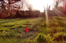 Terrain à Locmaria-Plouzane 29280 351m2 86000 € - GLB-26-08-26-8
