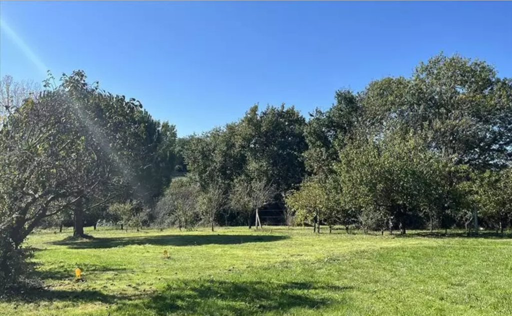 Terrain à Leguevin 31490 788m2 140000 € - VIMA-26-07-20-7