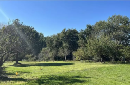 Terrain à Leguevin 31490 788m2 140000 € - VIMA-26-07-20-7