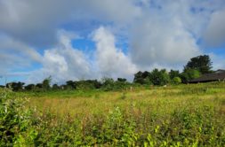 Terrain à Plouguerneau 29880 505m2 59000 € - YDE-26-06-23-4
