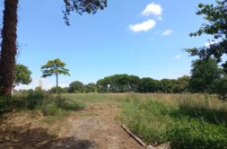 Terrain à Rennes 35000 421m2 280000 € - EPLA-26-05-21-85