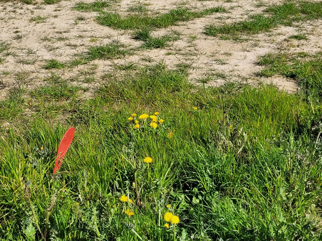 Terrain à Landeda 29870 560m2 61000 € - ETRE-26-10-06-23
