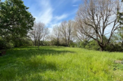 Terrain à Pibrac 31820 1050m2 222000 € - CROP-26-06-05-10