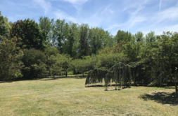 Terrain à Brax 31490 900m2 220000 € - CROP-26-06-05-8