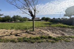 Terrain à La-Salvetat-Saint-Gilles 31880 789m2 178000 € - VIMA-26-09-15-7