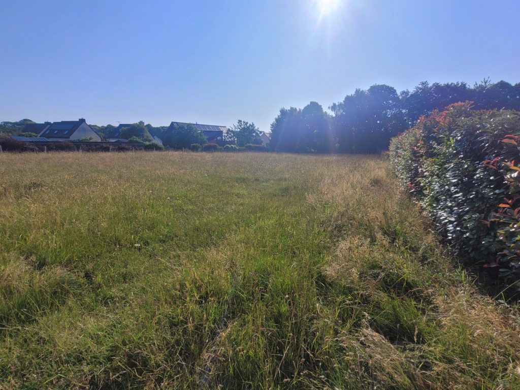 Terrain à Andouille-Neuville 35250 319m2 49000 € - BBA-26-09-04-1