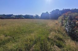 Terrain à Andouille-Neuville 35250 319m2 49000 € - BBA-26-09-04-1