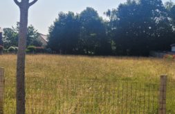 Terrain à Saint-Aubin-d&rsquo;Aubigne 35250 319m2 49000 € - BBA-26-10-22-49