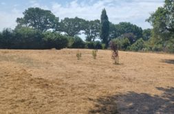 Terrain à Plesse 44630 3370m2 99500 € - BF-26-05-29-5