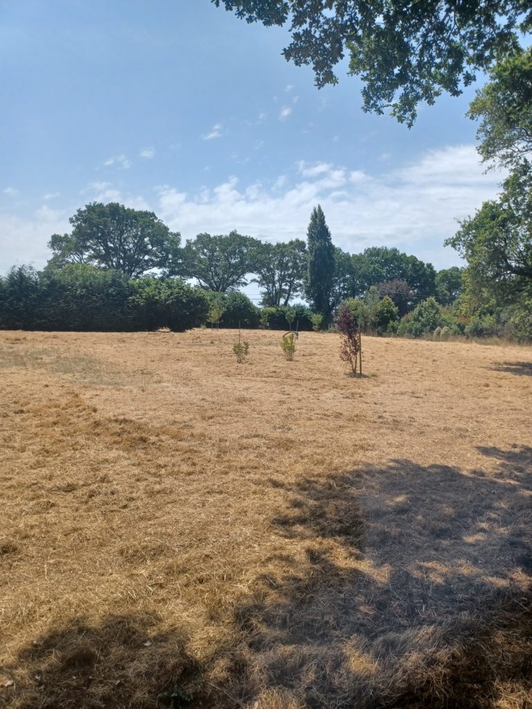 Terrain à Plesse 44630 3370m2 99500 € - BF-26-07-06-15