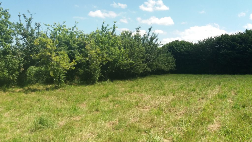 Terrain à Pleneuf-Val-Andre 22370 670m2 280000 € - ASCO-26-06-03-3
