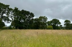 Terrain à Saint-Thonan 29800 430m2 77000 € - JPD-26-09-17-7