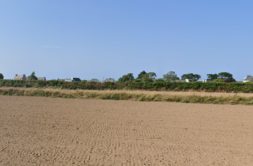 Terrain à Roscoff 29680 433m2 115000 € - VVAN-26-06-25-70