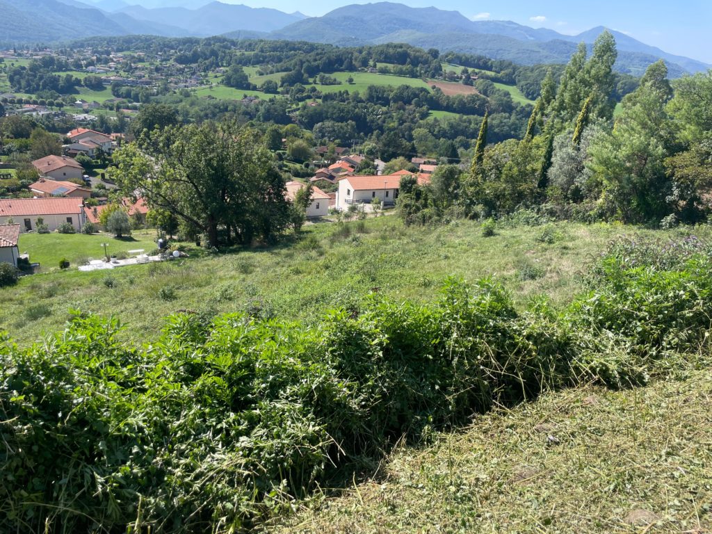 Terrain à Saint-Girons 09200 1312m2 85000 € - FRSC-26-06-01-8