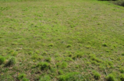 Terrain à Tregunc 29910 528m2 120000 € - LPEC-26-05-05-17