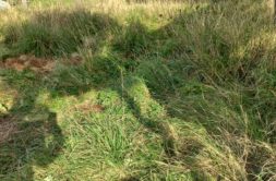 Terrain à Beaussais-sur-Mer 22650 469m2 108490 € - GESC-26-06-23-1