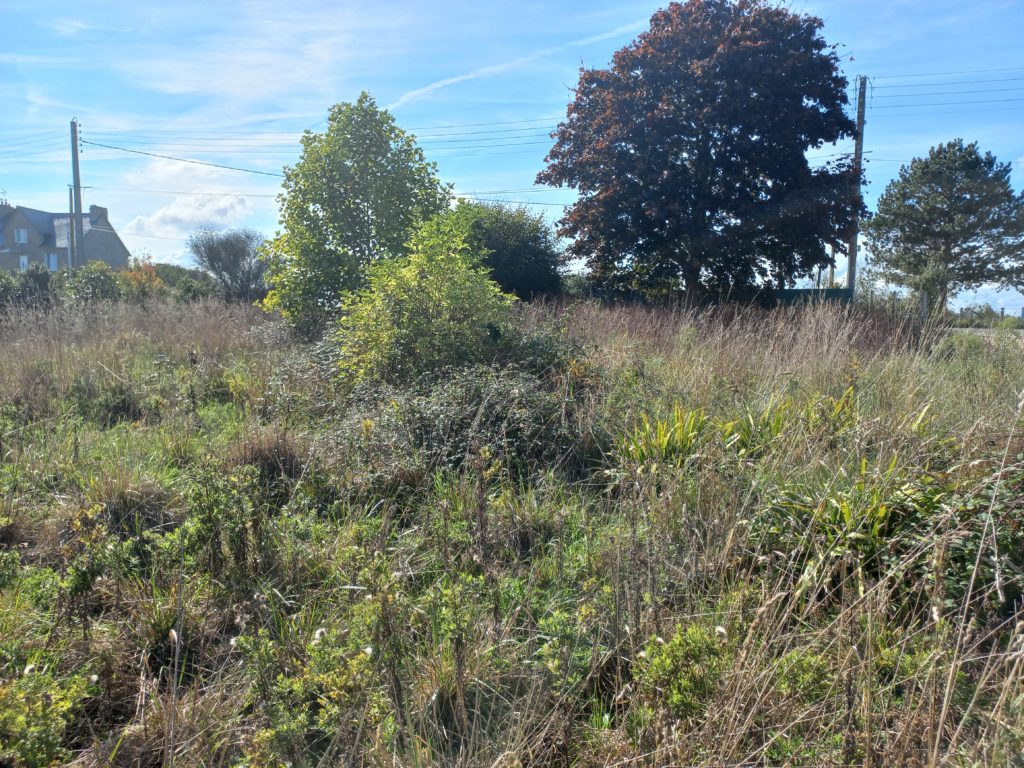 Terrain à Le-Minihic-sur-Rance 35870 335m2 140000 € - GESC-26-07-27-65