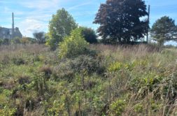 Terrain à Le-Minihic-sur-Rance 35870 418m2 155000 € - GESC-26-05-28-9